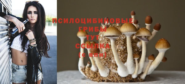 ешки Коряжма