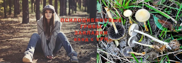 каннабис Кукмор