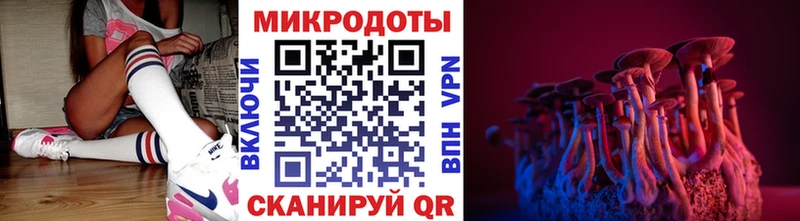 Псилоцибиновые грибы Psilocybine cubensis Называевск